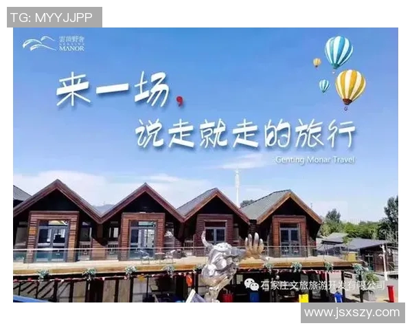 白岩松与姚明深度对话探讨体育与文化的交融与未来发展